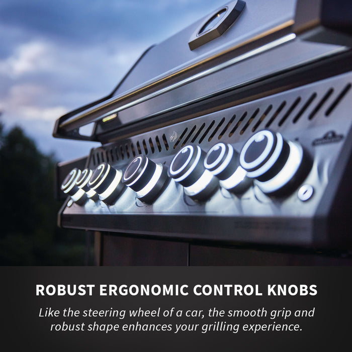 Napoleon Rogue SE 625 Gas Grill w/Infrared and Rear Burner (Stainless Steel) RSE625RSIBSS-1
