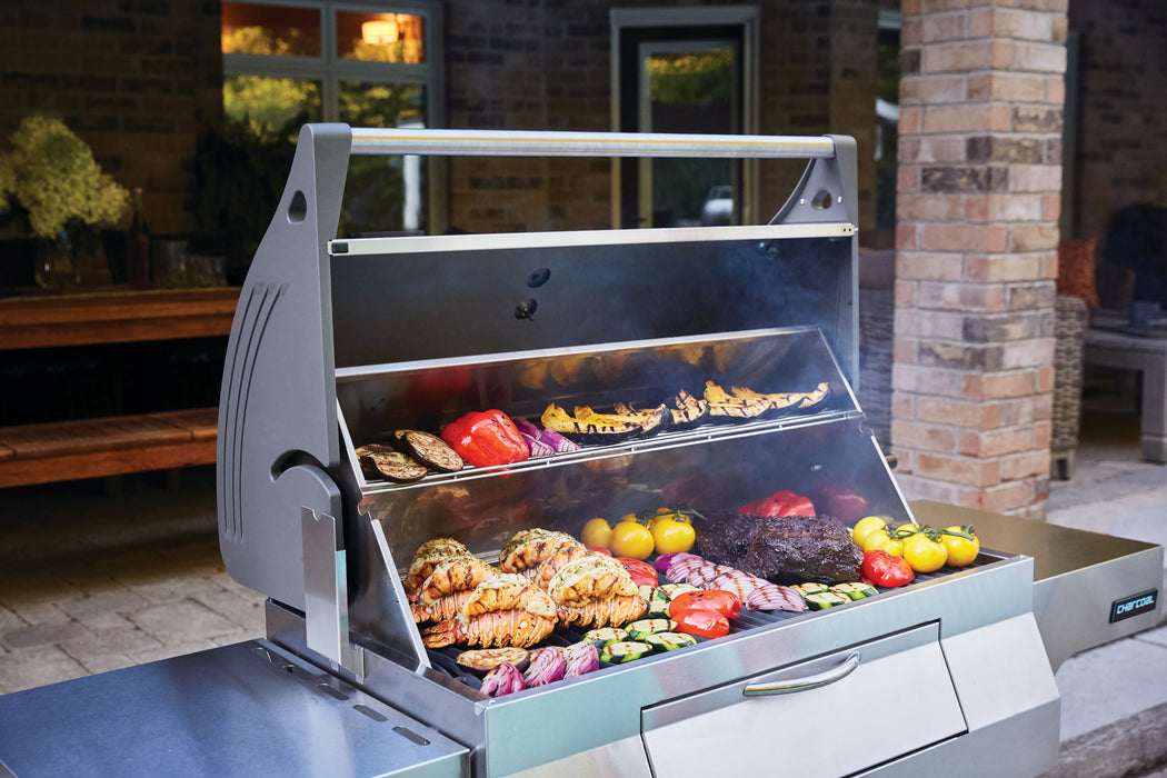 Napoleon Charcoal Professional Grill Stainless Steel PRO605CSS