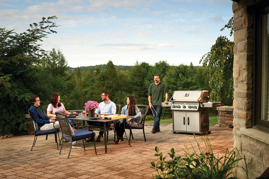 Napoleon Rogue SE 625 Gas Grill w/Infrared and Rear Burner (Stainless Steel) RSE625RSIBSS-1