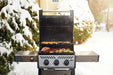 Napoleon Freestyle 365 Gas Grill (Graphite Grey)