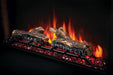Napoleon Napoleon CINEVIEW 30" Built-in Electric Fireplace NEFB30H Canada Electric NEFB30H Built-In Electric Fireplace 629169080779